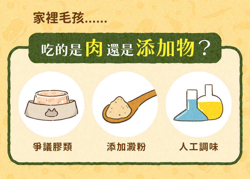 【貓咪餐包】干貝燉雞 | 泌尿保養配方 添加GABA