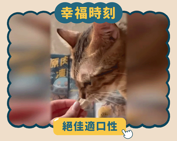 【原肉凍乾】鈣鈣丁香魚