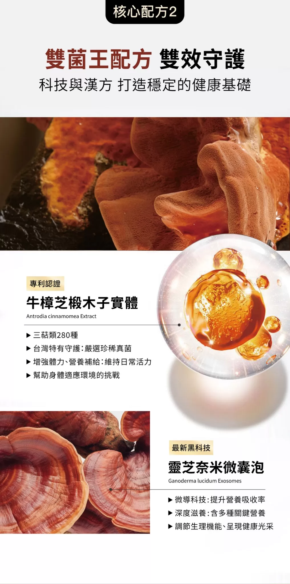 6/30-7/13世界盃夜戰續航計畫(加碼猜冠軍抽好禮 購買即可參加),U61740004,6/30-7/13世界盃夜戰續航計畫(加碼猜冠軍抽好禮購買即可參加),6/30-7/13加碼猜冠軍抽好禮購買即可參加,所有商品,限時團購商品