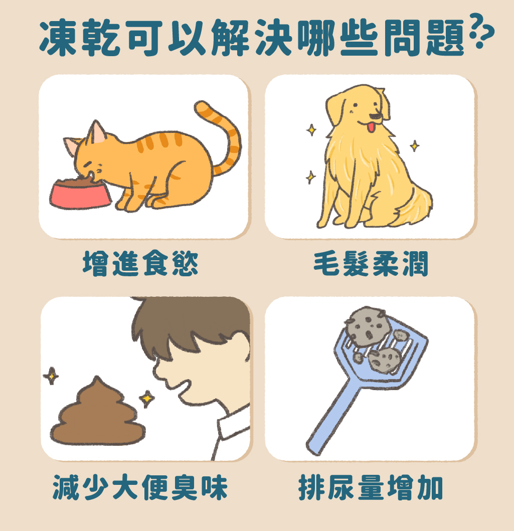 【原肉凍乾】鈣鈣丁香魚