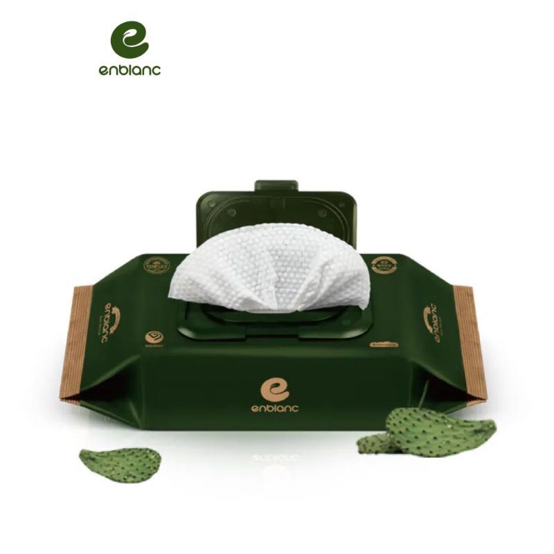 韓國ENBLANC 銀離子抗菌 極厚仙人掌 有蓋輕裝濕紙巾