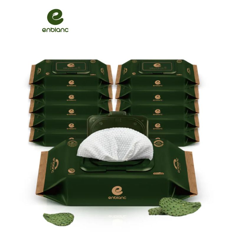 韓國ENBLANC 銀離子抗菌 極厚仙人掌 有蓋輕裝濕紙巾