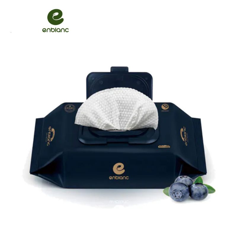 韓國ENBLANC 銀離子抗菌 極厚藍莓 有蓋隨身包濕紙巾