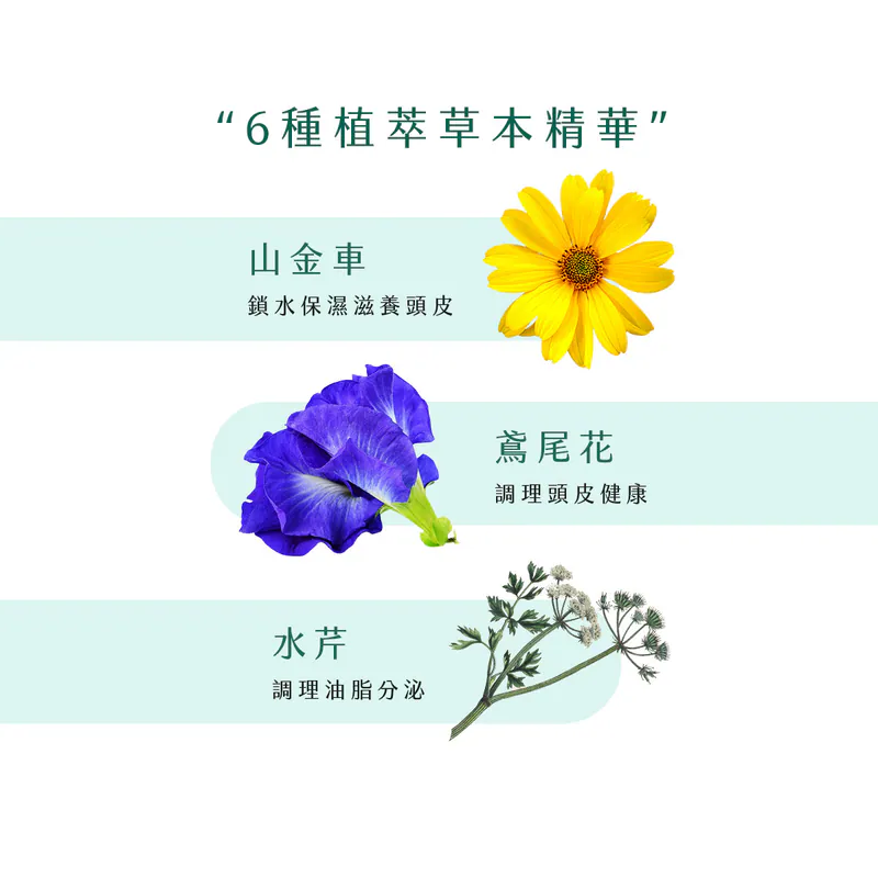 【新技】頭皮保養精華3入組,U62150008,【新技】頭皮保養精華3入組,台灣製,天然,頭皮養護