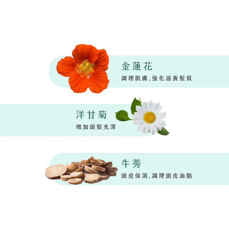 【新技】頭皮保養精華3入組,U62150008,【新技】頭皮保養精華3入組,台灣製,天然,頭皮養護