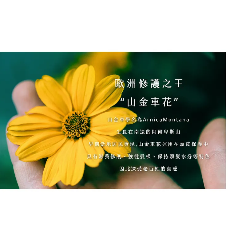 【新技】頭皮保養精華3入組,U62150008,【新技】頭皮保養精華3入組,台灣製,天然,頭皮養護