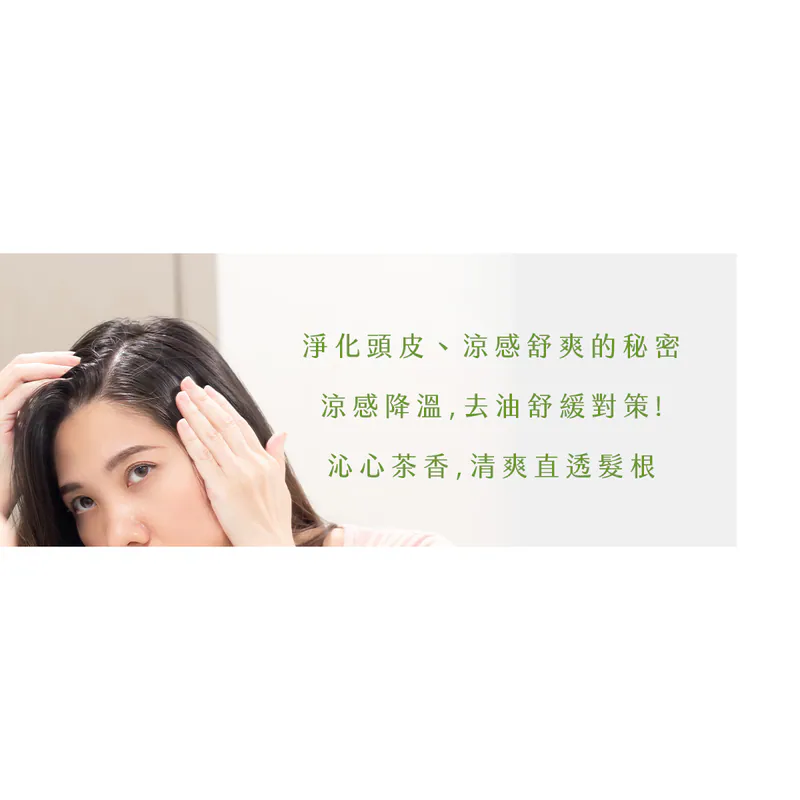 【新技】活氧綠茶涼感洗髮精,U62150006,【新技】活氧綠茶涼感洗髮精,台灣製,天然,洗髮精