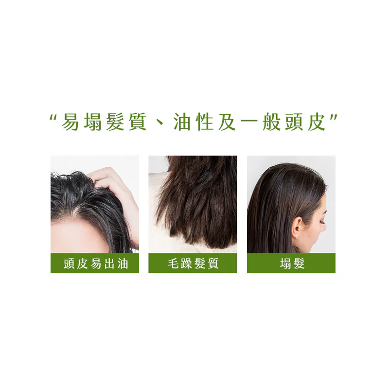 【新技】活氧綠茶涼感洗髮精,U62150006,【新技】活氧綠茶涼感洗髮精,台灣製,天然,洗髮精