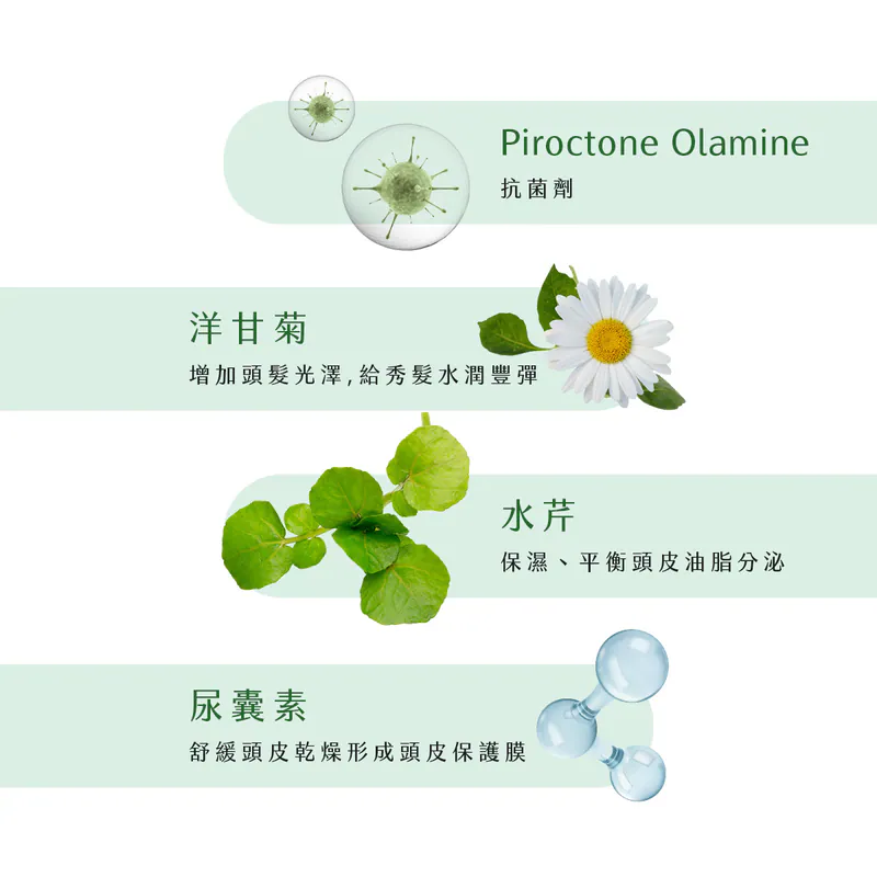 【新技】頭皮保養精華3入組,U62150008,【新技】頭皮保養精華3入組,台灣製,天然,頭皮養護