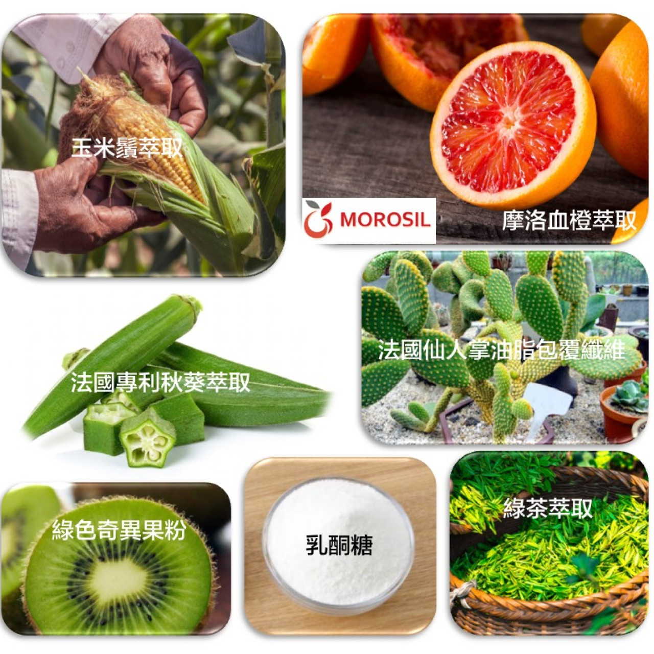 【LiVio 輕悅本身】一瓶一錠好輕飲,U62150033,【LiVio輕悅本身】一瓶一錠好輕飲,保健食品,隨身攜帶,排便順暢