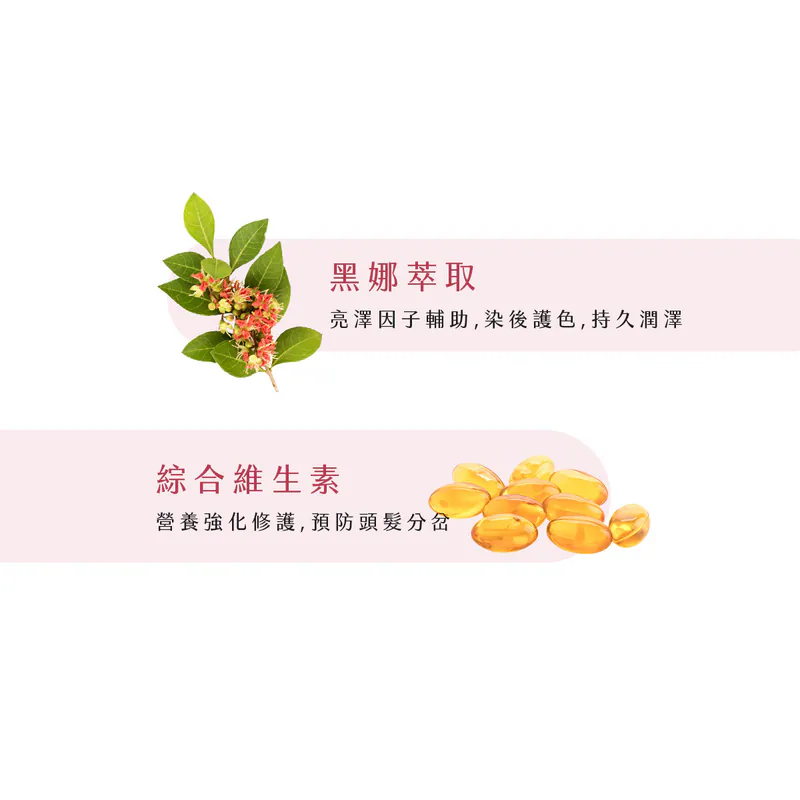 【新技】紅寶石空氣感洗髮精,U62150007,【新技】紅寶石空氣感洗髮精,台灣製,頭皮養護,洗髮精