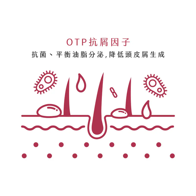 【新技】紅寶石空氣感洗髮精,U62150007,【新技】紅寶石空氣感洗髮精,台灣製,頭皮養護,洗髮精