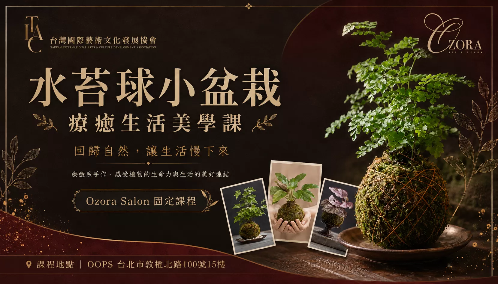 Ozora Salon 生活美學水苔球小盆栽手作課,費用含飲品乙杯,D61170001,OzoraSalon生活美學水苔球小盆栽手作課,城市裡的療癒綠意時光,找美學