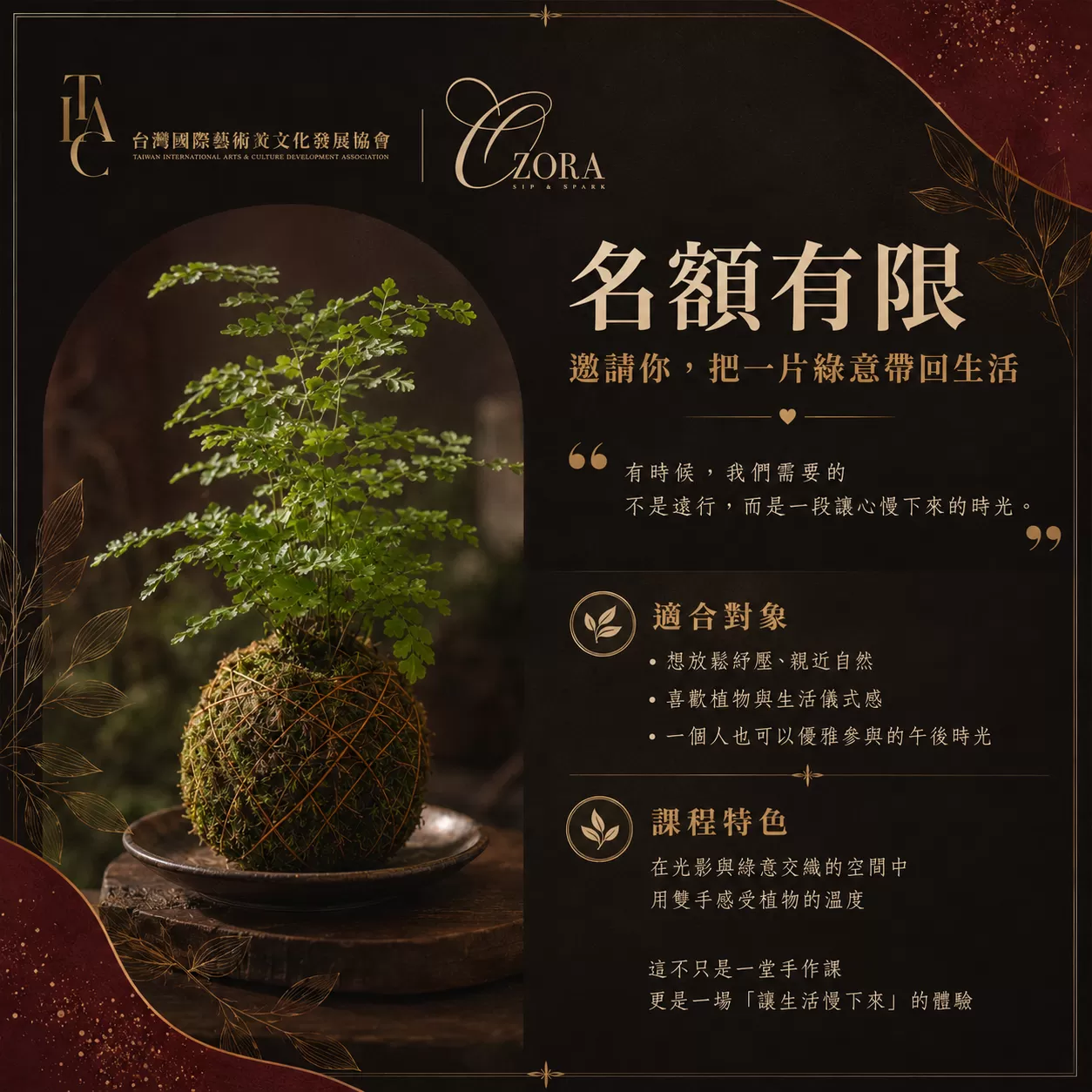 Ozora Salon 生活美學水苔球小盆栽手作課,費用含飲品乙杯,D61170001,OzoraSalon生活美學水苔球小盆栽手作課,城市裡的療癒綠意時光,找美學