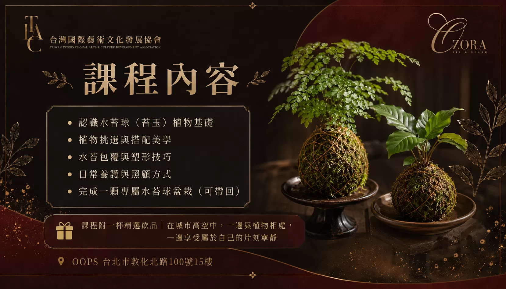 Ozora Salon 生活美學水苔球小盆栽手作課,費用含飲品乙杯,D61170001,OzoraSalon生活美學水苔球小盆栽手作課,城市裡的療癒綠意時光,找美學