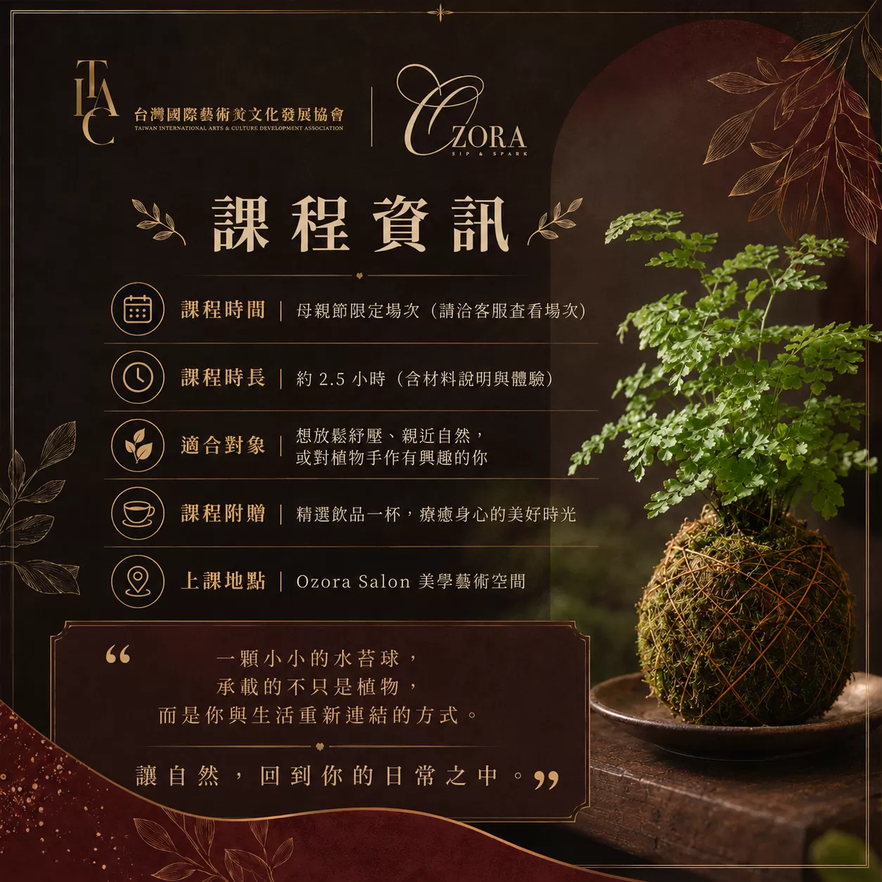 Ozora Salon 生活美學水苔球小盆栽手作課,費用含飲品乙杯,D61170001,OzoraSalon生活美學水苔球小盆栽手作課,城市裡的療癒綠意時光,找美學