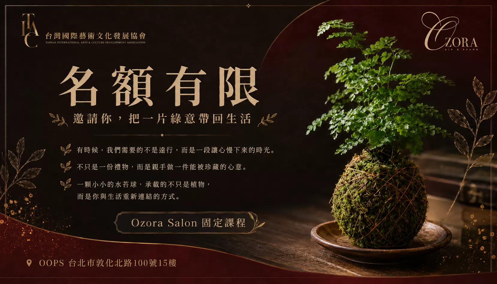Ozora Salon 生活美學水苔球小盆栽手作課,費用含飲品乙杯,D61170001,OzoraSalon生活美學水苔球小盆栽手作課,城市裡的療癒綠意時光,找美學