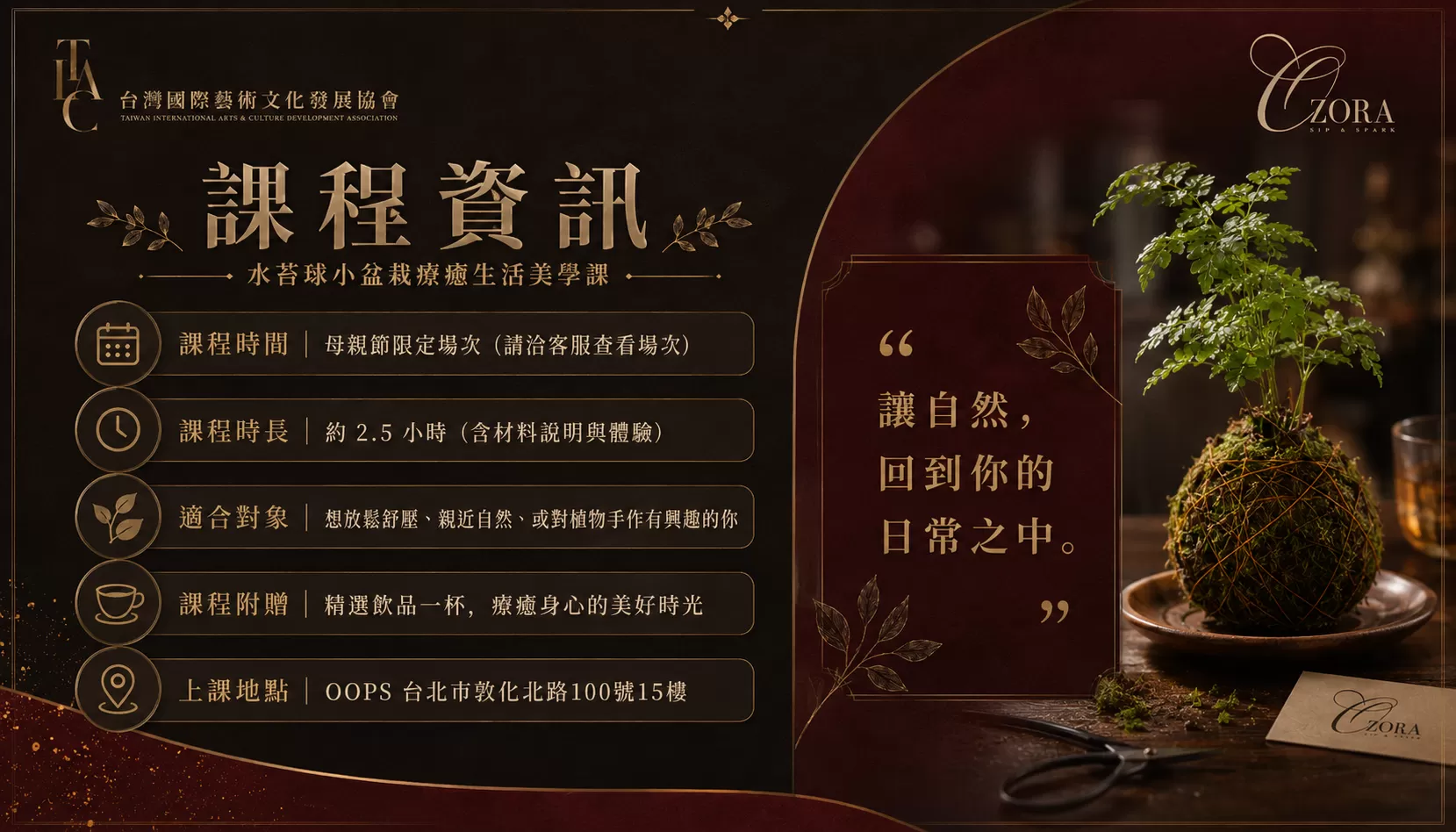 Ozora Salon 生活美學水苔球小盆栽手作課,費用含飲品乙杯,D61170001,OzoraSalon生活美學水苔球小盆栽手作課,城市裡的療癒綠意時光,找美學