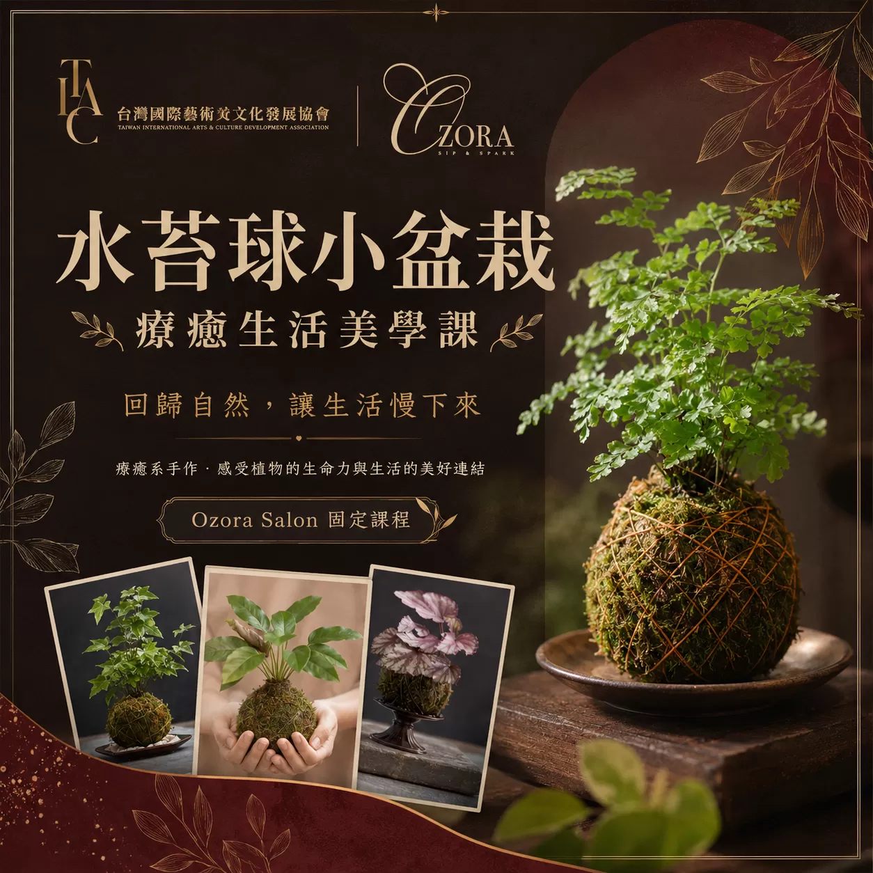 Ozora Salon 生活美學水苔球小盆栽手作課