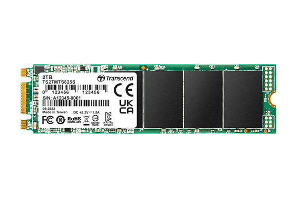 Transcend 創見 SATA III M.2 SSD 825S