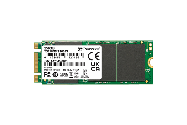 Transcend 創見 SATA III M.2 SSD 600S