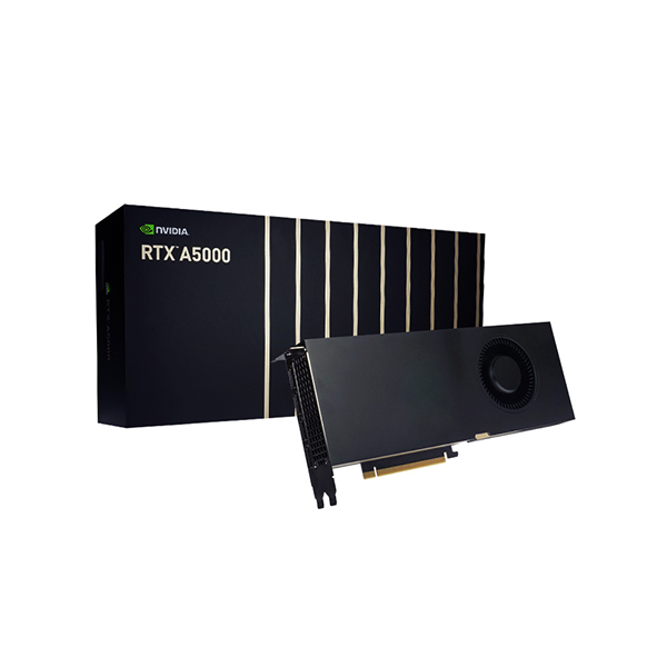 Leadtek 麗臺 NVIDIA RTX A5000