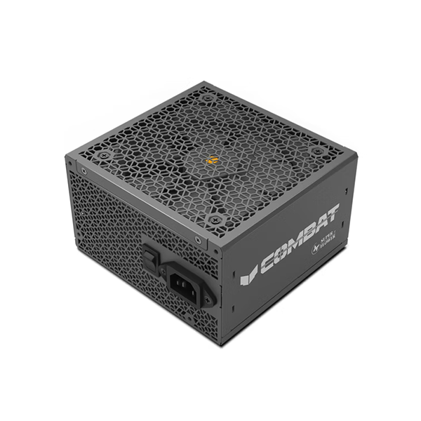 SUPER FLOWER 振華 COMBAT FG ATX3.1 金牌全模組 650/750/850W 黑色電源供應器