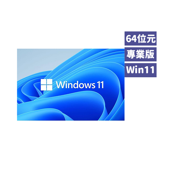 Microsoft 微軟 Windows 11 64位元 中文隨機專業版