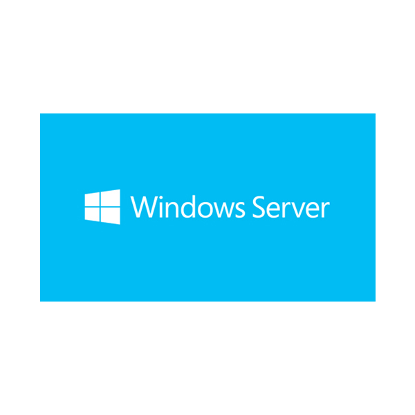Microsoft 微軟 Windows Server 2025 Standard 中文隨機標準版 16核 DVD 不含CAL