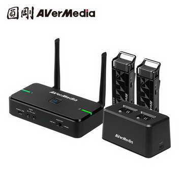 AVERMEDIA 圓剛 雙麥克風加座充組AW315 ( AW315雙麥克風加座充組 )