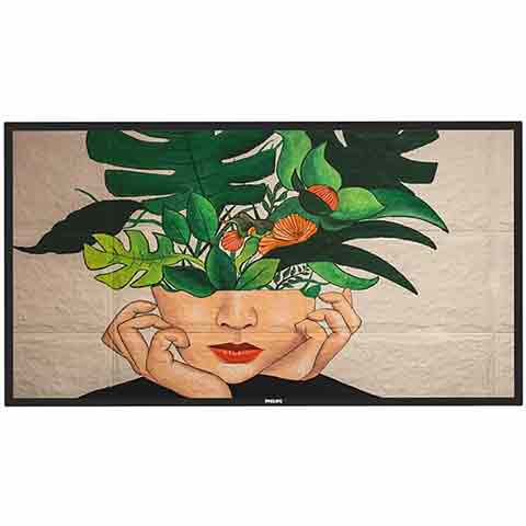 PHILIPS 65BDL4550D商用顯示器