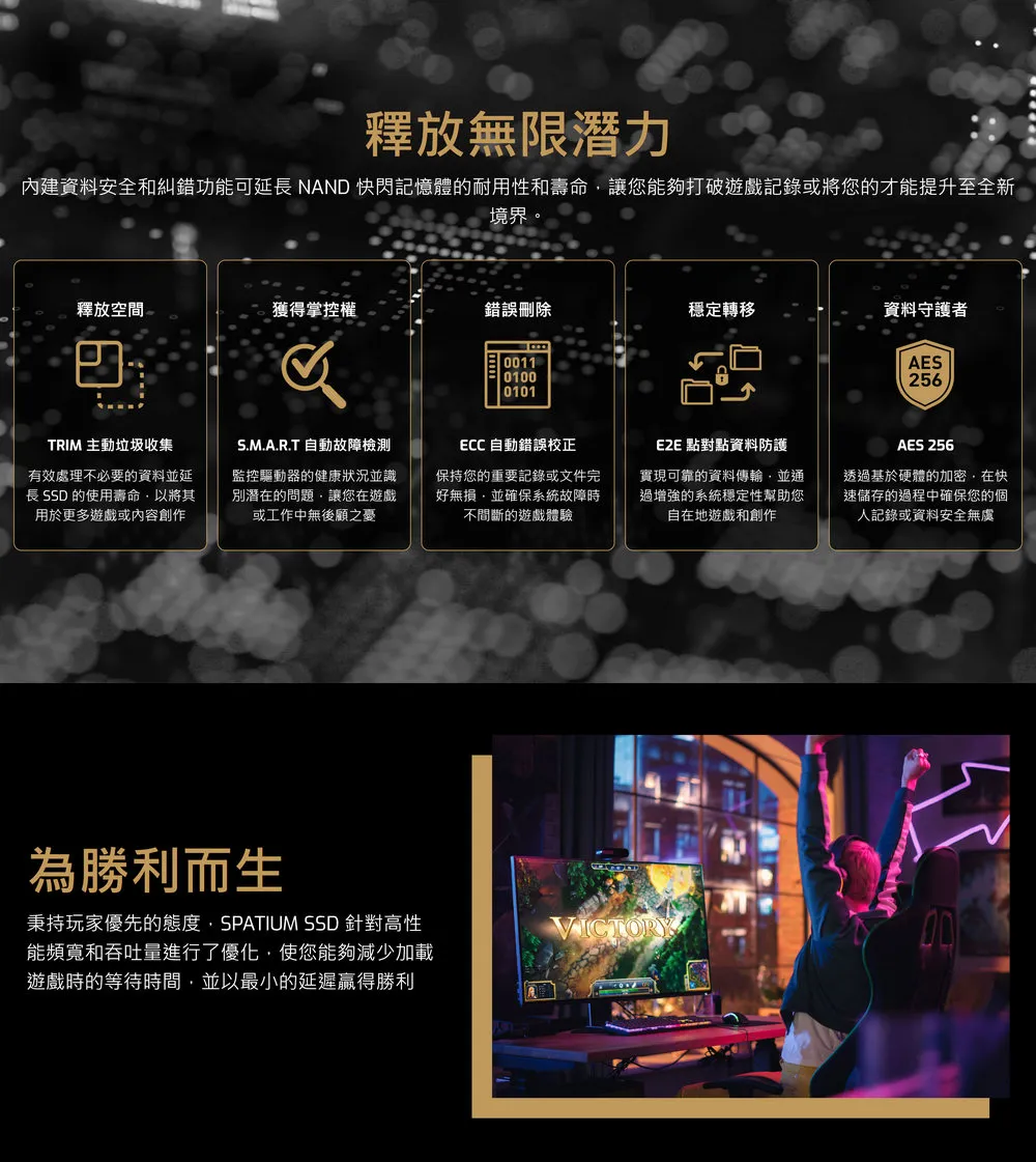MSI 微星 SPATIUM M480 Pro PCIe 4.0 NVMe M.2 4TB 固態硬碟 SSD