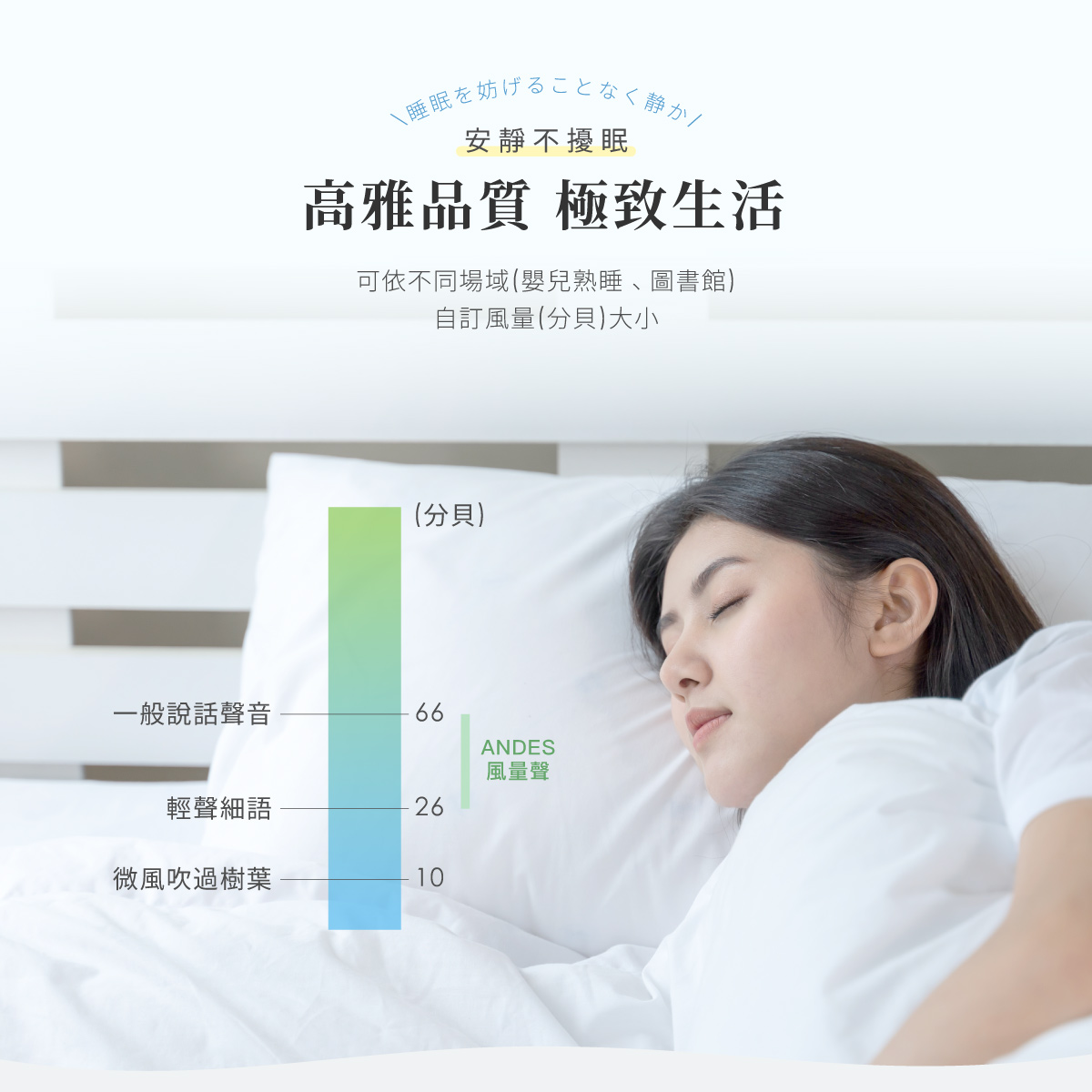 日本ANDES BioMicron Health Care 陶瓷健康負離子 空氣淨化機BMHC-S791AT(S)