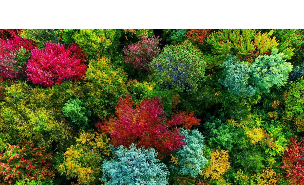 BenQ V5010i 4K雷射投影機2500An,U52520078,BenQV5010i4K雷射投影機2500An,原廠保固,大量採購歡迎洽詢,品質保證