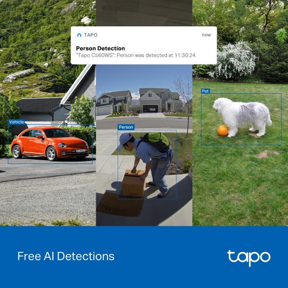 TP-Link Tapo C560WS 戶外旋轉式 Wi-Fi 防護攝影機