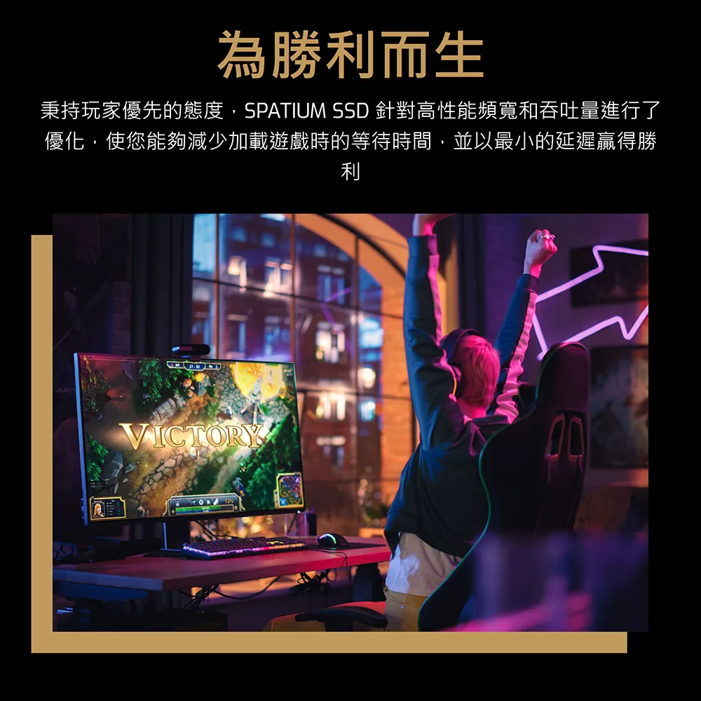 MSI 微星 SPATIUM M470 Pro PCIe 4.0 NVMe M.2 2TB 固態硬碟 SSD