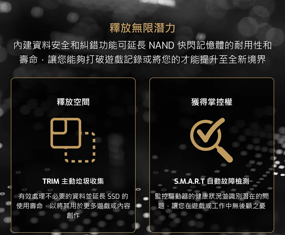 MSI 微星 SPATIUM M450 PCIe 4.0 NVMe M.2 500GB V1 固態硬碟 SSD