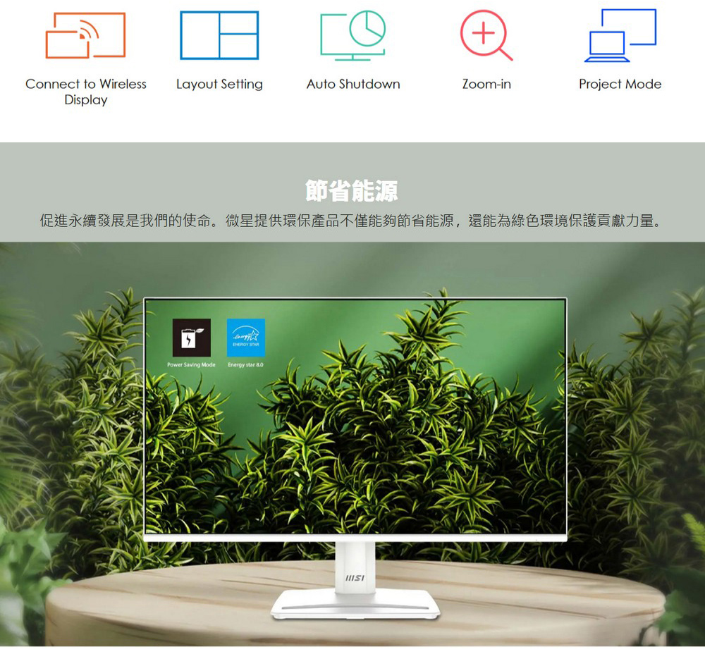 MSI 微星 PRO 16:9 專業護眼 120Hz 顯示器 MP251W