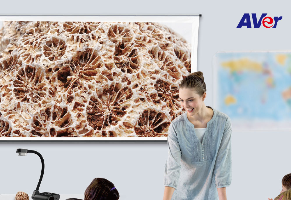 AVer F17+實物投影機1300萬畫素,U52500026,AVerF17+實物投影機1300萬畫素,原廠保固,大量採購歡迎洽詢,品質保證