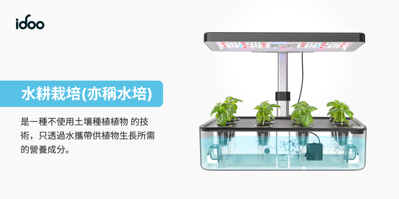 RENPHO iDoo室內水耕種植機 ( ID-IG301-WH ),實際價格以報價為主,U52750032,RENPHOiDoo室內水耕種植機(ID-IG301-WH),原廠保固,大量採購歡迎洽詢