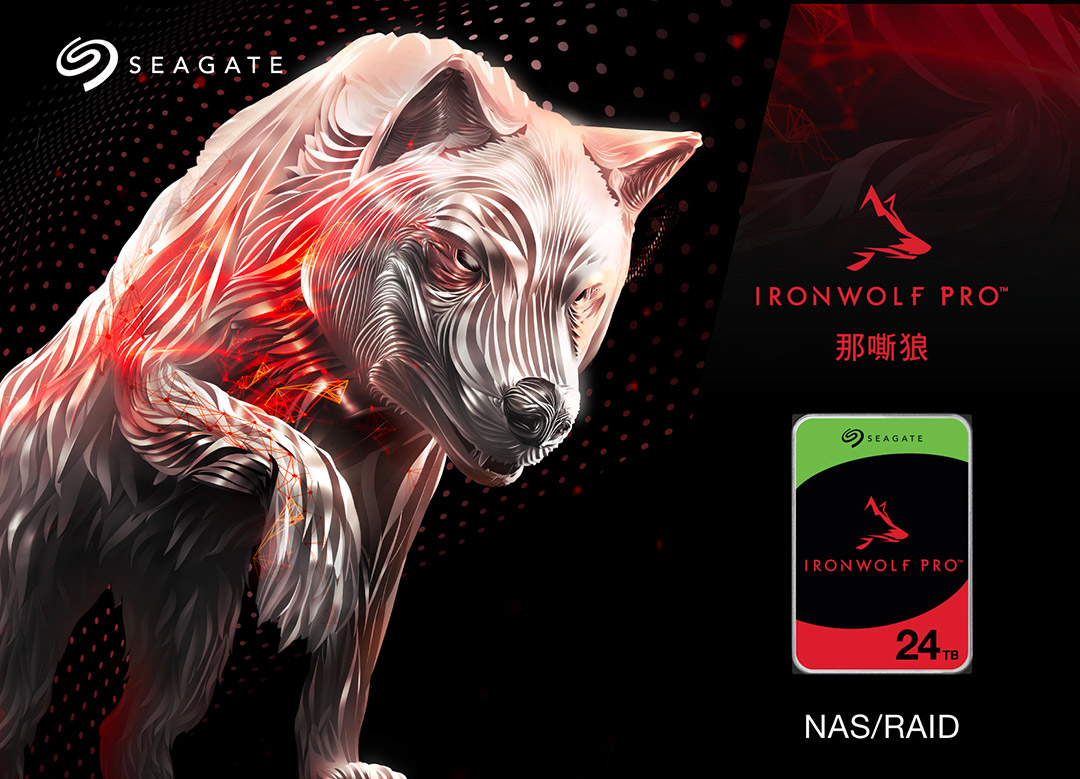 SeagateST24000NT002  24TB 3.5吋 NAS硬碟 彩盒