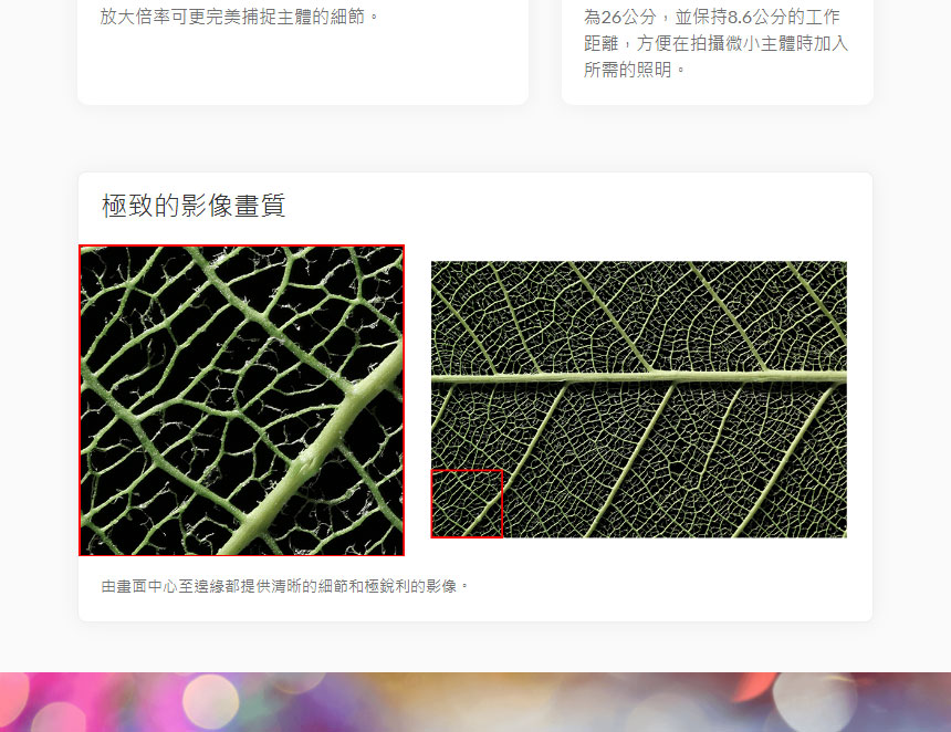Canon RF100mm f/2.8L MACRO IS USM,U52640018,CanonRF100mmf/2.8LMACROISUSM,原廠保固,大量採購歡迎洽詢,品質保證