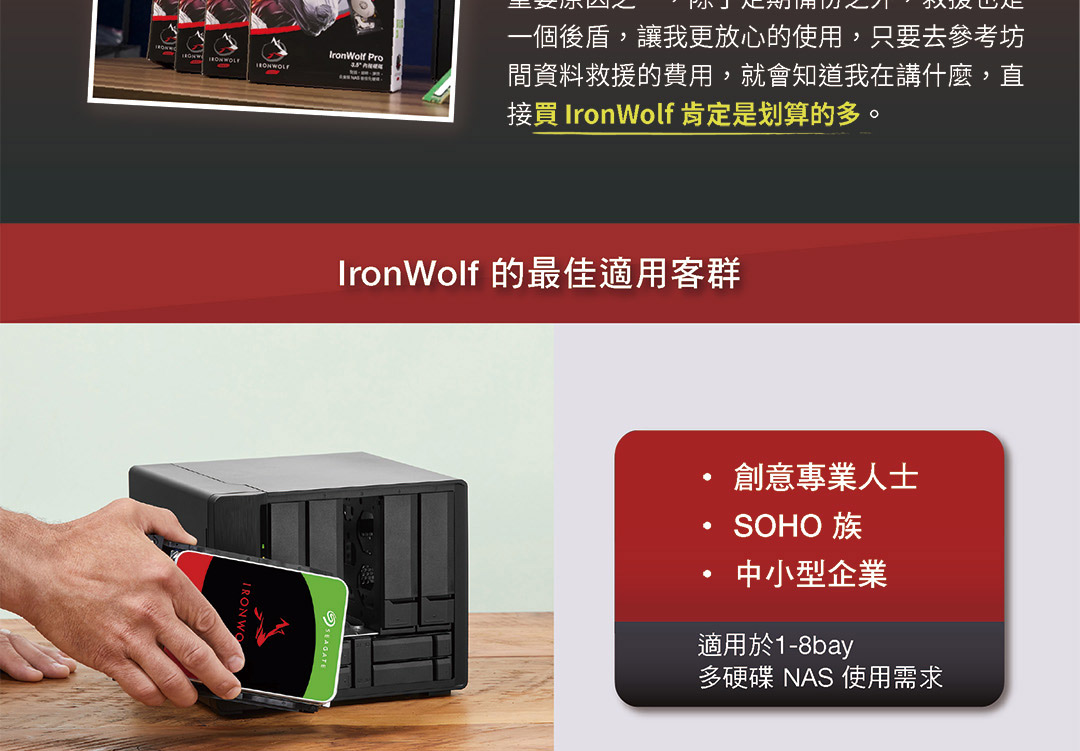 Seagate ST8000VN002  8TB 3.5吋 NAS硬碟 彩盒