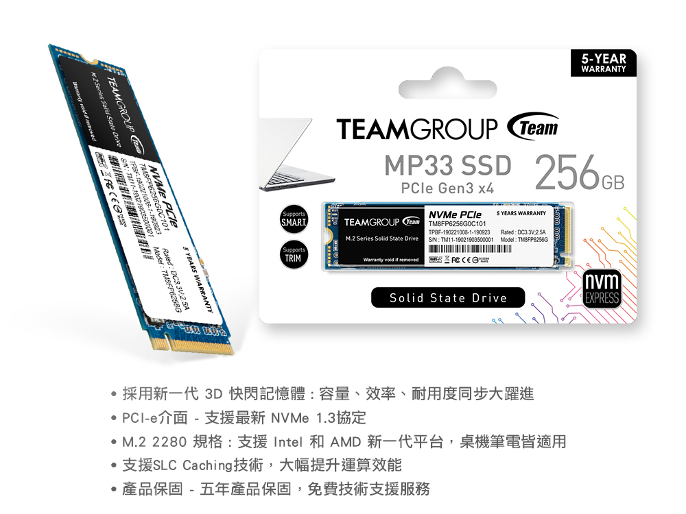 TEAM十銓 MP33 256G M.2 PCI-E SSD ( TM8FP6256G0C101 )內接固態式硬碟,U52390012,TEAM十銓MP33256GM.2PCI-ESSD(TM8FP6256G0C101)內接固態式硬碟,原廠保固,大量採購歡迎洽詢,品質保證