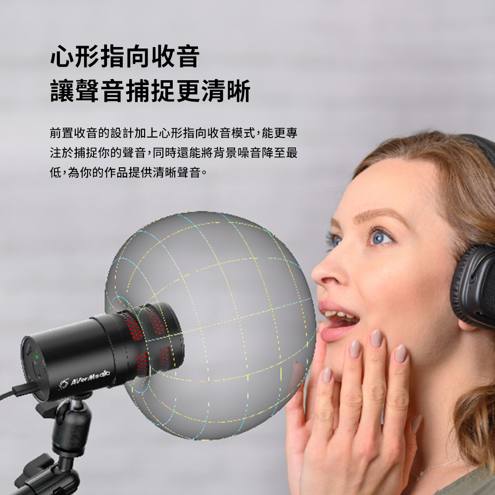 AVERMEDIA 圓剛 AM310G2 黑鳩USB心型指向麥克風 ( 40AAAM310AWL ),U52500055,AVERMEDIA圓剛AM310G2黑鳩USB心型指向麥克風(40AAAM310AWL),原廠保固,大量採購歡迎洽詢,品質保證