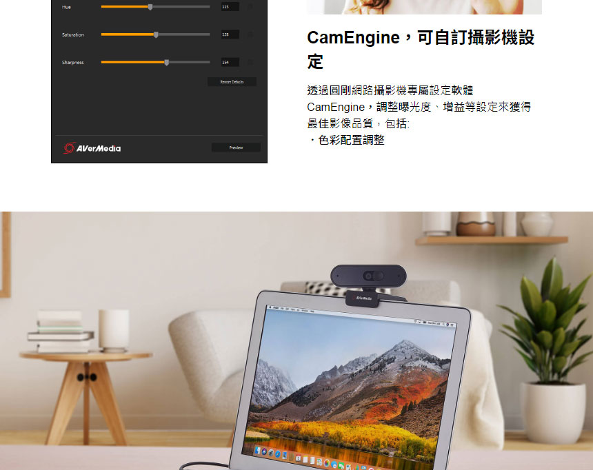 AVERMEDIA 圓剛 PW310P 高畫質網路攝影機,U52500073,AVERMEDIA圓剛PW310P高畫質網路攝影機,原廠保固,大量採購歡迎洽詢,品質保證