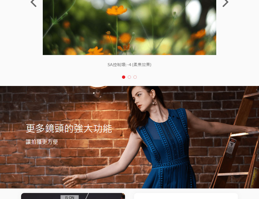 Canon RF100mm f/2.8L MACRO IS USM,U52640018,CanonRF100mmf/2.8LMACROISUSM,原廠保固,大量採購歡迎洽詢,品質保證