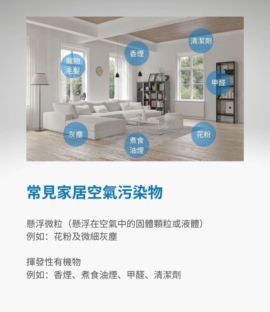 RENPHO HEPA 空氣清淨機白 ( RP-AP089W ),實際價格以報價為主,U52750045,RENPHOHEPA空氣清淨機白(RP-AP089W),原廠保固,大量採購歡迎洽詢