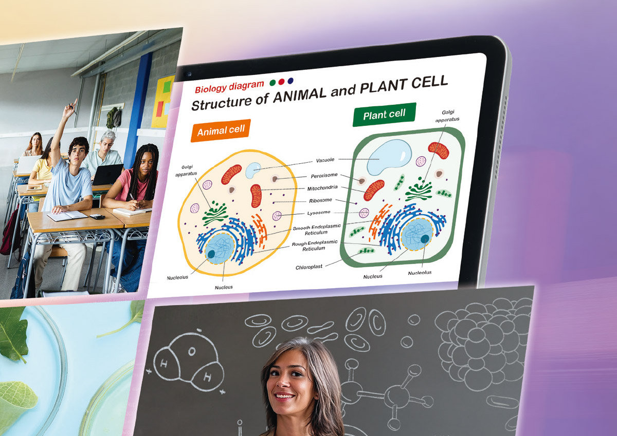 AVER MT100影音控制盒 ( MT100(61B31C0000AC) ),U52500002,AVERMT100影音控制盒(MT100(61B31C0000AC)),原廠保固,大量採購歡迎洽詢,品質保證