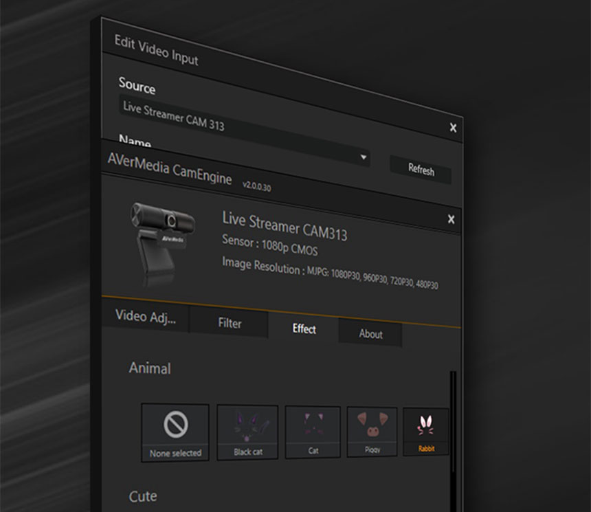 AVERMEDIA 圓剛 AVerMedia PW313高畫質網路攝影機 ( 40AAPW313AWM/40AAPW313ASF ),U52520003,AVERMEDIA圓剛AVerMediaPW313高畫質網路攝影機(40AAPW313AWM/40AAPW313ASF),原廠保固,大量採購歡迎洽詢,品質保證